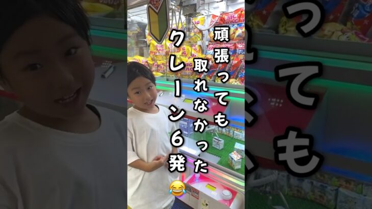 【頑張っても取れなかったクレーン6発😂】#shorts 【難しい😓】