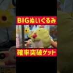 【ゲーセン攻略】BIGぬいぐるみを攻略ゲット！！！