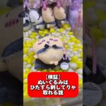 【検証】ぬいぐるみ×三本爪はひたすら刺してれば取れる？ ちいかわ てんし♡あくま あくまなBIGぬいぐるみ うさぎ #shorts #クレーンゲーム #ぬいぐるみ #ちいかわ