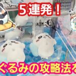 UFOキャッチャー ３本爪確率機でぬいぐるみの攻略法を探せ！【パンダ先生夫婦のクレーンゲーム】