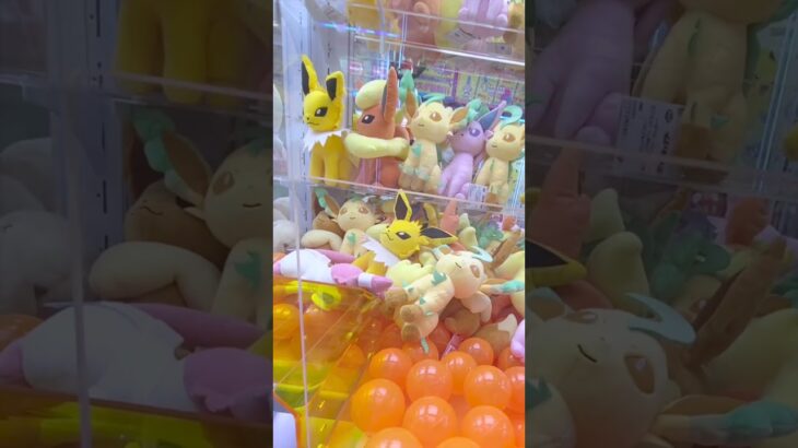 “台湾式”クレーンゲーム⁉️初挑戦で景品ゲット‼️ポケモンぬいぐるみ【UFOキャッチャー】