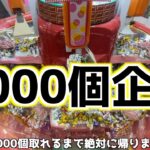 【YouTube史上最多】クレーンゲームで景品1000個取ってみたw【UFOキャッチャー／スイートランド】