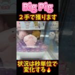 音とアームの動きに注目🤣#pig #ufoキャッチャー #クレーンゲーム #攻略 #ぬいぐるみ #確率機