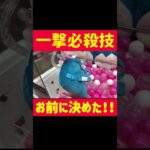 【クレーンゲーム】 人気景品狙いを定めて、、、#pokemon