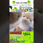 【ゲーセンで仲間のカワウソ救出🦦】これで仲良く飾れますね😆【クロス橋渡し攻略】#ゲームセンター #クレーンゲーム #ufoキャッチャー