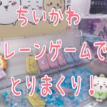 【ちいかわ】クレーンゲームでちいかわキーケース、エンジェルぬいぐるみ、フェイスポーチ、七夕ぬいぐるみを狙います！