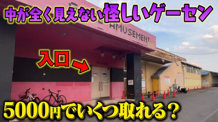 【神店】ベネクス超え？怪しいゲームセンターに潜入したら超優良店だった！【クレーンゲーム】