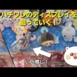 【ちいかわ】ハチワレのディスプレイをクレーンゲームで狙う！