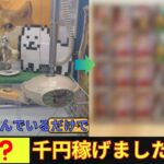 【後編】オンラインクレーンゲームで稼げることはできるのか！？【クレーンゲームプラス】