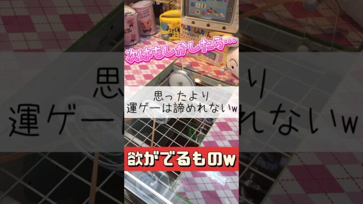 【クレーンゲーム】運ゲーは欲が出るものw #クレーンゲーム #ゲームセンター #クレヨンしんちゃん #アニメ #ゾロ目 #サイコロ #運ゲー #運気 #たいたんめん #クレーンゲームマスター