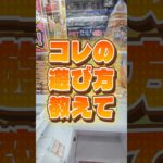 コレの遊び方がガチでわからんw