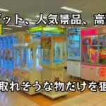 景品を落とすためだけに狙い続けるww【クレーンゲーム】