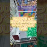 クレーンゲーム史上1番緊張する時はこれ！