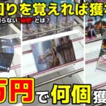 【クレーンゲーム】1万円で何個獲れる!?立ち回りを覚えるだけで、飛躍します！【回遊館養父店・UFOキャッチャー】