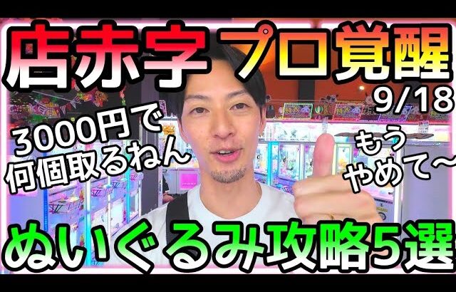 プロが覚醒して赤字確定!!3000円で何個取るねん!!サクサクぬいぐるみ攻略５選