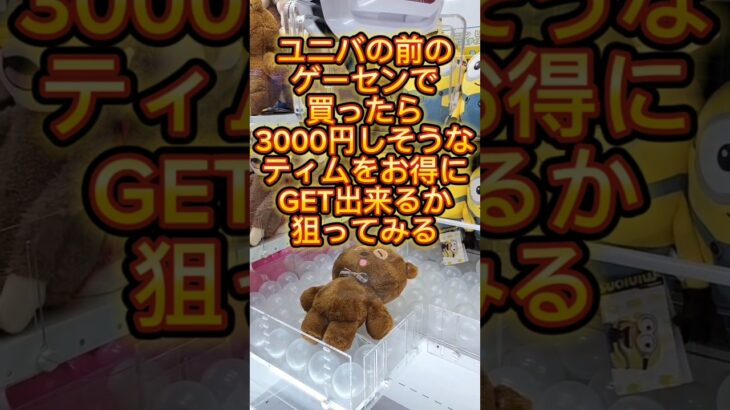 ユニバで買ったら3000円しそうなティムをユニバ前のゲーセンで安くGETを狙った奴の末路