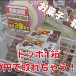 トッポが30円！？食品・雑貨特集！回遊館を攻略したい家族Vol.15