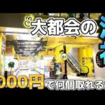 クレーンゲームライブ配信！5000円で何個取れるか！？