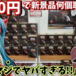 またまたやります！5000円で新景品フィギュア何個取れるのか？9月新景品第3回【ベネクス川越店】【クレーンゲーム】