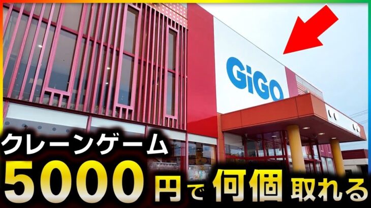 【クレーンゲーム】5000円で何個取れる？GIGO再検証したらまさかの結果にwww【5000円企画】