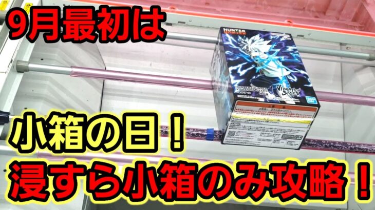 【趣味】今月も開始！9月の最新プライズ攻略【クレーンゲーム】