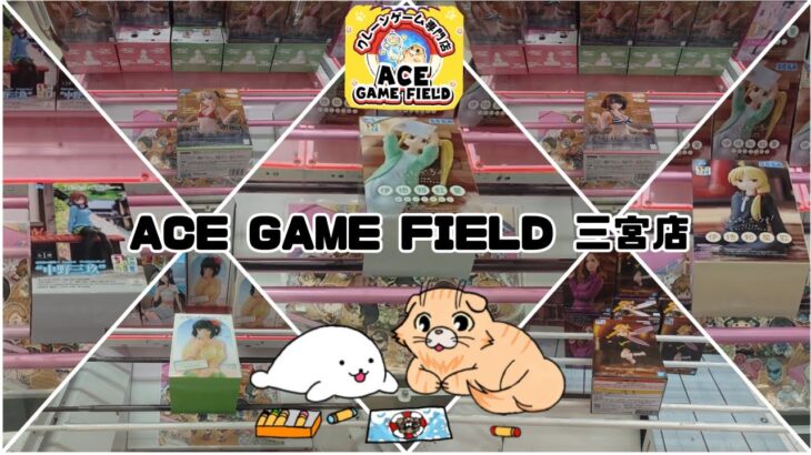 【クレーンゲーム】ACE GAME FIELD 三宮店 看板猫が可愛いお店