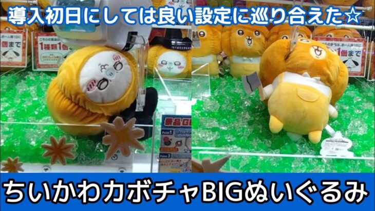 ちいかわモモンガ・うさぎガボチャBIGぬいぐるみ☆ 予想と違って…以外な結果だった【クレーンゲーム】