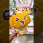 【ちいかわ】かぼちゃBIGぬいぐるみ取らさせていただいた！