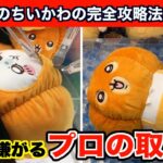 【クレーンゲーム】ちいかわ  うさぎ・モモンガ  カボチャBIGぬいぐるみの完全攻略法！