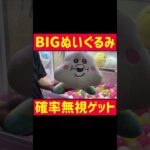 【ゲーセン攻略】確率無視!?でBIGぬいぐるみゲット　#クレーンゲーム