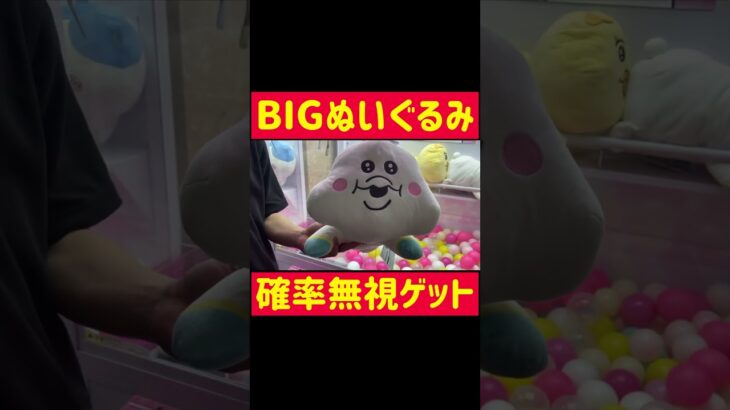 【ゲーセン攻略】確率無視!?でBIGぬいぐるみゲット　#クレーンゲーム