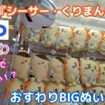 ちいかわ大人なシーサー・くりまんじゅうおすわりBIGぬいぐるみ☆ GIGOでGETなるか？【クレーンゲーム】