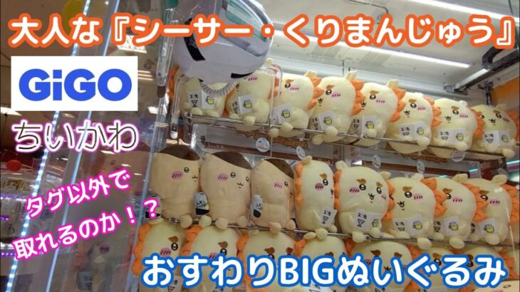 ちいかわ大人なシーサー・くりまんじゅうおすわりBIGぬいぐるみ☆ GIGOでGETなるか？【クレーンゲーム】