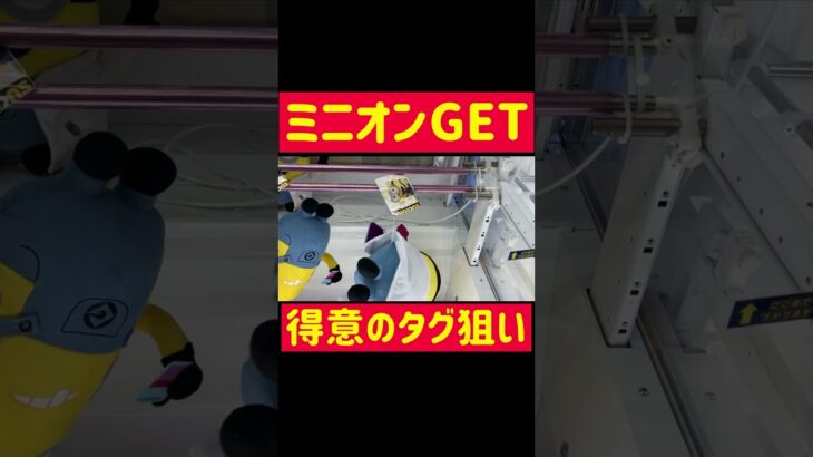 【ラウワン攻略】タグのココ狙いでミニオンGET #minions