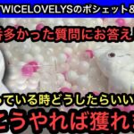 GiGO限定のTWICELOVELYSだきつきポシェット&おひるねクッション！質問の多かった袋に入ってる景品の獲り方教えます！【TWICE】【クレーンゲーム】【인형뽑기】【ClawMachine】