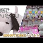 【クレーンゲーム】【SNOOPY™】2024 9最新プライズ　SNOOPY™　グランデぬいぐるみ　グレーVer.　攻略で取りたい!!