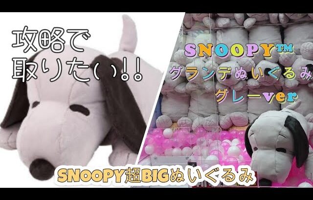 【クレーンゲーム】【SNOOPY™】2024 9最新プライズ　SNOOPY™　グランデぬいぐるみ　グレーVer.　攻略で取りたい!!