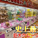 ゲームセンター史上最大級の巨大クレーンゲームがあるお店でぬいぐるみ取りまくってみた【UFOキャッチャー】