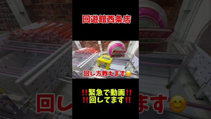 【クレーンゲーム】回し方教えます😊諦めないで‼️#クレーンゲームの沼さん#クレーンゲーム#ufoキャッチャー#ゲームセンター#ゲーセン#回遊館西条店#攻略 #裏技#取り方#コツ#ワンピース#旅行