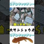 輪っかすりぬけ　#クレーンゲーム #ゲーセン #ufoキャッチャー #ゲーム