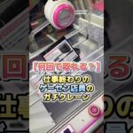 【何回で取れる？】仕事終わりのゲーセ店員のガチクレーン