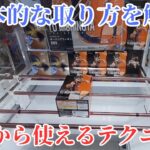 初心者必見！クレーンゲームで景品を確実にゲットする方法