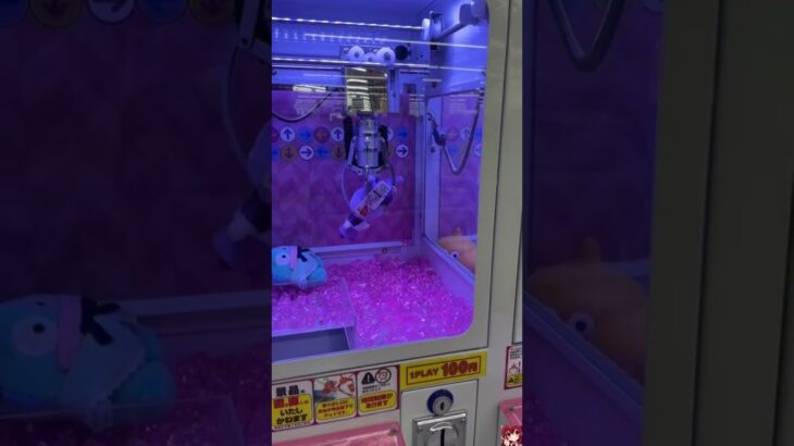 クレーンゲームでクロミちゃんを狙う！取れる…？