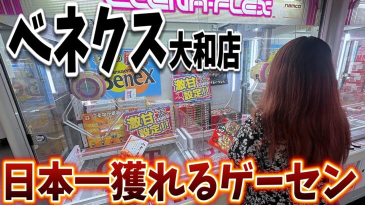 【クレーンゲーム】日本一獲れるゲーセンでお菓子と雑貨に挑戦！自力で獲れるって楽しい！【ベネクス大和店】