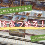 【クレーンゲーム】仲間を集めてコンプを目指せ！ワーコレ「これが仲間の印だ」「もう一度仲間と呼んでくれますか？」