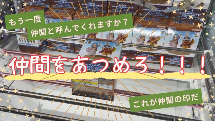 【クレーンゲーム】仲間を集めてコンプを目指せ！ワーコレ「これが仲間の印だ」「もう一度仲間と呼んでくれますか？」