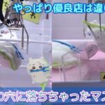 ちいかわ穴に落ちちゃったマスコット☆　優良店アソベースでコンプなるか！？【クレーンゲーム】