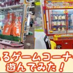 とあるゲームコーナーで遊んでみた！