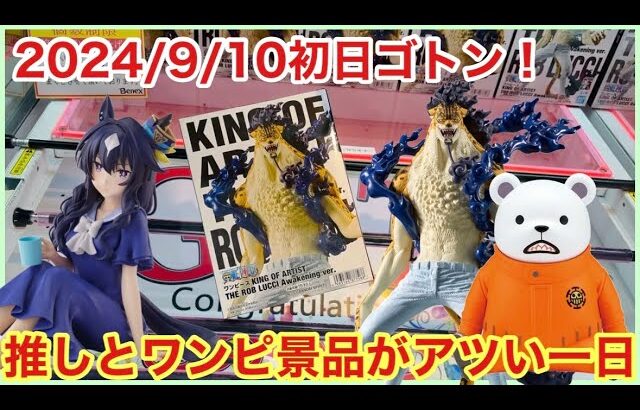 【ベネクス大和店】初日ゴトン！カッコいい&可愛い新景品を求めて頑張るクレーンゲーマー【クレーンゲーム】