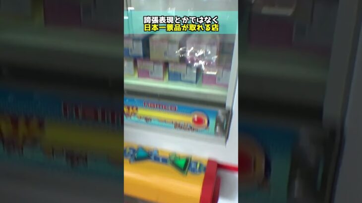 日本一景品が取れると噂のゲームコーナー行ってみた＃クレーンゲーム